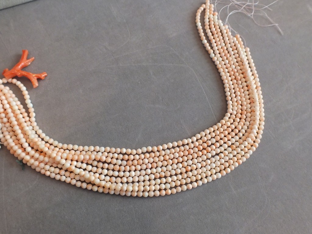 Pinkish white coral. "Angel face"