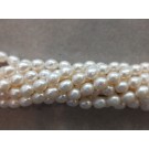 Fresh water pearl strands, rice shape, 8-8.5 mm