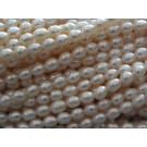 rice shape 4.5-5 mm fresh water pearls