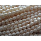 rice shape 4.5-5 mm fresh water pearls